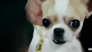 محمد رجب من فلم الخلبوص 