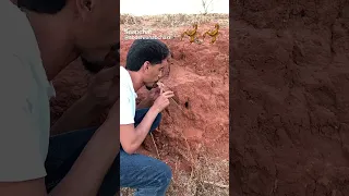 ابوني الزين في طريقك Dzremix Algeriansong ترند تصميم فيديوهات تيك توك اخيل ضحك لايك 