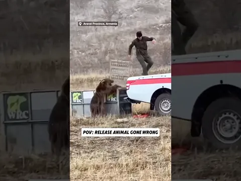 Los animales nos enseñan siempre! 🤭