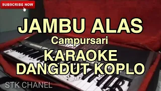 Download JAMBU ALAS ( Campursari Hits) KARAOKE DANGDUT KOPLO STK CHANEL MP3