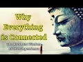 Why Everything is Connected The Buddhist Wisdom of Interdependence