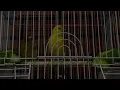 MUSliM - Kefaya Foraa  WhatsApp Video - 2024 |#Kefaya_Foraa | #مسلم@muslimofficiall
