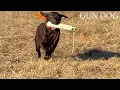 Intro