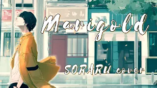 Download Marigold / Soraru【Cover】 MP3