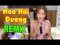 Lagu Hoa Hải Đường Remix  - Jack | Lan Vy Cover