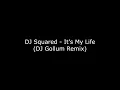 Download Lagu DJ Squared - It's My Life (DJ Gollum Remix)