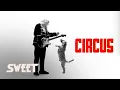 Download Lagu Sweet - Circus (Official Video)
