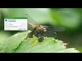 CSEC3223 Programming Embedded Systems Software pt 2