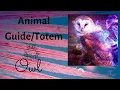 OWL Animal Meaning