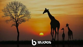 afro exotiq x nitefreak africa is eletronic original mix 