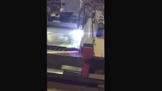 Burn table almost murders bird