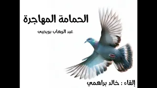 الحمامة المهاجرة دندنها
