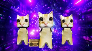 El Gato Cats dancing to Bemax - COOL! (what you think that we think is cool)