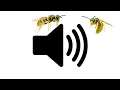 Download Lagu ANGRY WASP SOUND EFFECT [1 Hour Version]