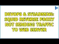 DevOps SysAdmins Squid Reverse Proxy not Sending Traffic to Web Server