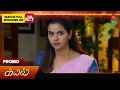 Lagu Kayal - Special Promo | 13 Nov 2025 | Tamil Serial | Sun TV