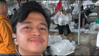 Gio Maulana Live di Pasar Ikan Hias Parung