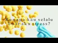 Download Lagu Boss, Boss, Boss | Official Lyric Video