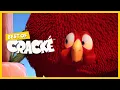 Lagu CRACKÉ - BIG FAT BIRD | Cartoon Animation | Compilation
