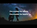 Lvly - Sucker for Hearts (Lyric Video)