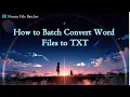 How to Batch Convert Word Files to TXT Ninetu File Batcher