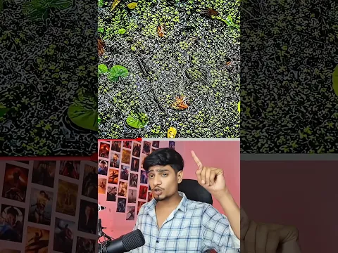 Can you find the hidden animals #shortsfeed #shortsvideo