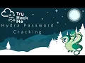 Hydra Tryhackme Password Cracking