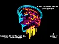 Afrojack; Timmy Trumpet; Lil Jon - We Can't Stop (DJ TimAAAh Exclusive Gang Gang Edit)