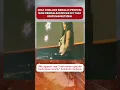 Download Lagu DJ ICHA CHELLOW ALIH PROFESI #ichachellow #viral #trending #lucu #soundhoreg #ichachellow #fyp #fun