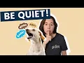 How to stop Puppy Barking at Everything