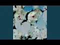 Download Lagu 喜劇