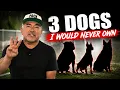 The 3 Dog Breeds People Fear the Most Cesar Unleashed