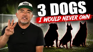 the 3 dog breeds people fear the most cesar unleashed