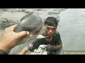 Ikan mujair jumbo di tambak@LopesHasan