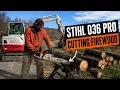 Can the STIHL 036 Still Compete in 2026