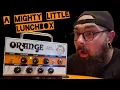Orange Baby Terror Tiny Amp BIG Attitude