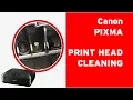 How to clean Canon PIXMA print head flushing clogged nozzles on a print head