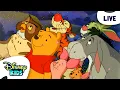 Lagu 🔴 LIVE! The New Adventures of Winnie the Pooh 🐻🍯❤️ | 24/7 Full Episode Live Stream | ‪@disneykids‬