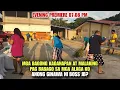 Download Lagu MGA BAGONG KAGANAPAN AT MALAKING PAG BABAGO SA MGA ALAGA KO
