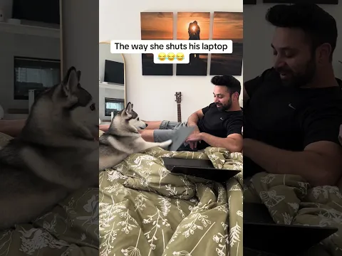Our dog shuts my laptop shut 😂