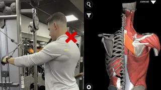 Cross Cable Rear Delt Fly