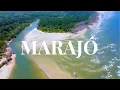Marajo Island Where the Amazon River meets the Sea