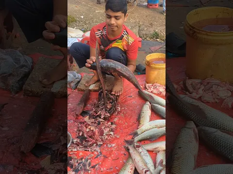 How To Big Fish Cutting Skills #shorts #youtubeshorts