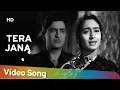 Tera Jana Dil | Raj Kapoor | Nutan | Anari | Lata Mangeshkar | Evergreen Hindi Songs Mp3 Song Download
