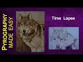 Wood Burning Art - Mexican Grey Wolf
