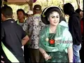 Download Lagu LARANG UDAN - KEPILUT || Tayub Tuban Makam Panggang Jadi Part 2