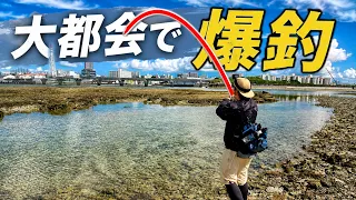 大都会の大型商業施設の目の前リーフで爆釣！