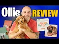 Ollie Dog Food Review How Fresh Dog Food Really Affects Health and Energy