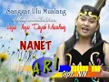 Download Lagu NANET NANET - NUARI - LAGU DAYAK MUALANG
