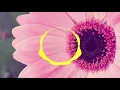 You - Lost Frequencies & Love Harder ( 8D Genre ) 🎧